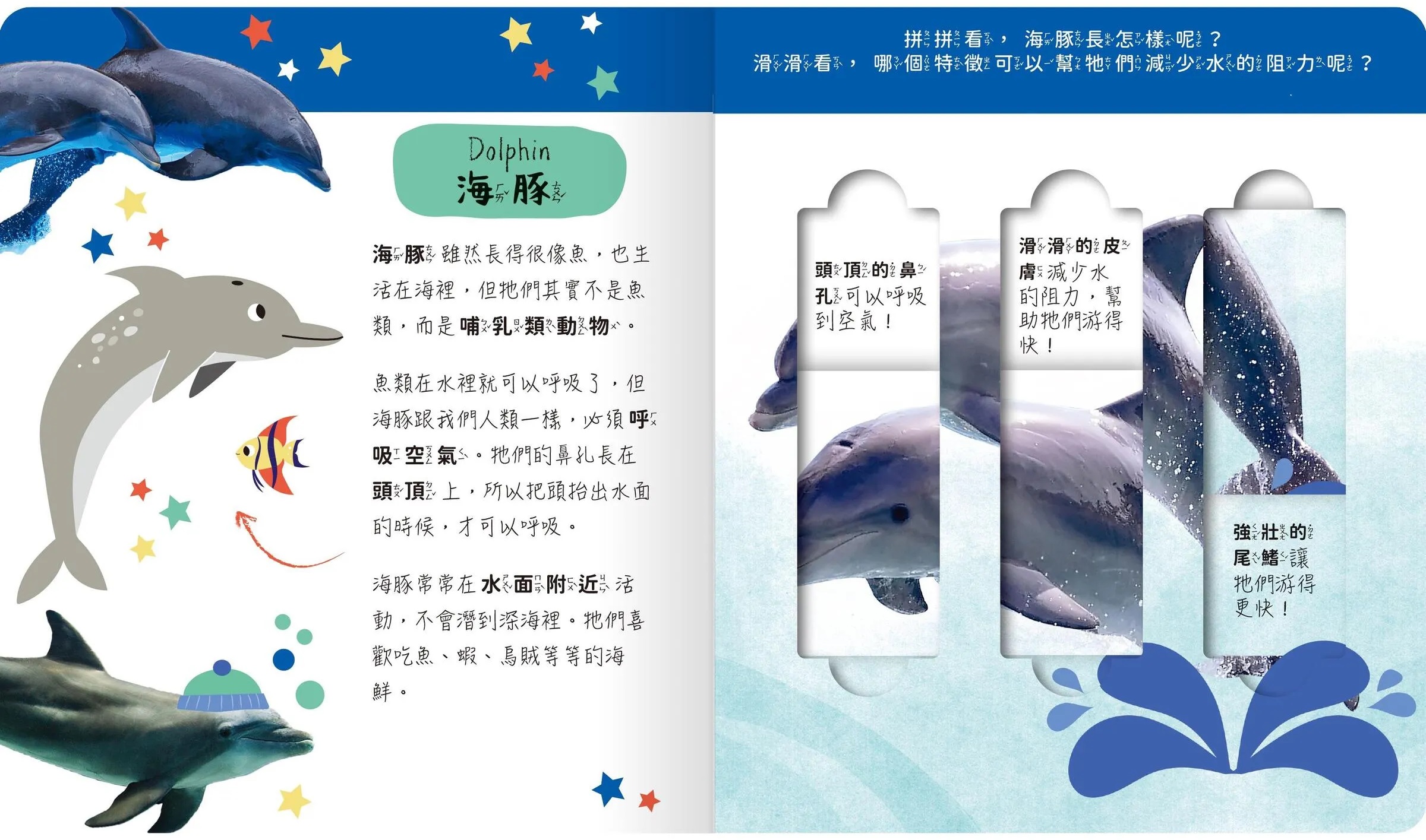 lovely puzzle-海洋動物園